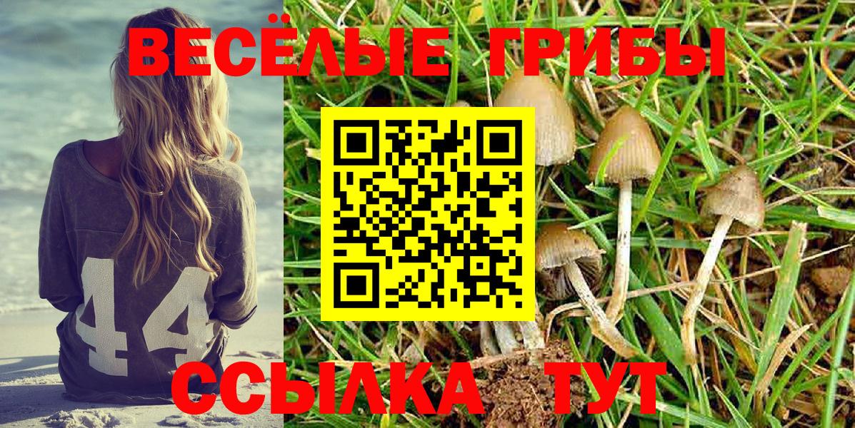 Галлюциногенные грибы прущие грибы  где найти   Пыть-Ях  Псилоцибиновые грибы Psilocybe  Вход с VPN 